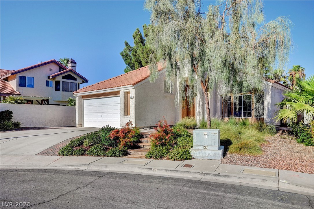 3000 Reef View Street