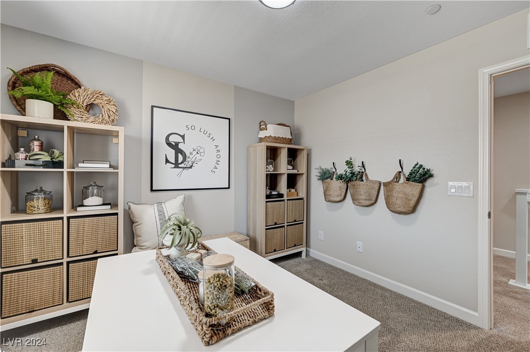 911 Cadence View Way