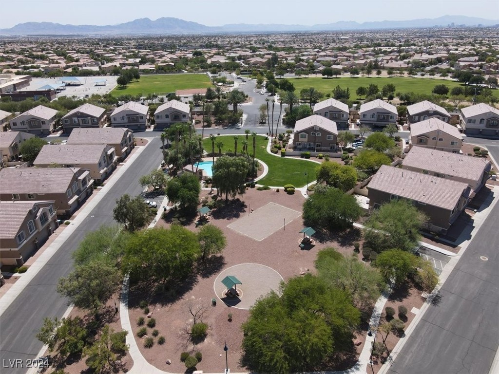 6616 Lavender Lilly Lane 3