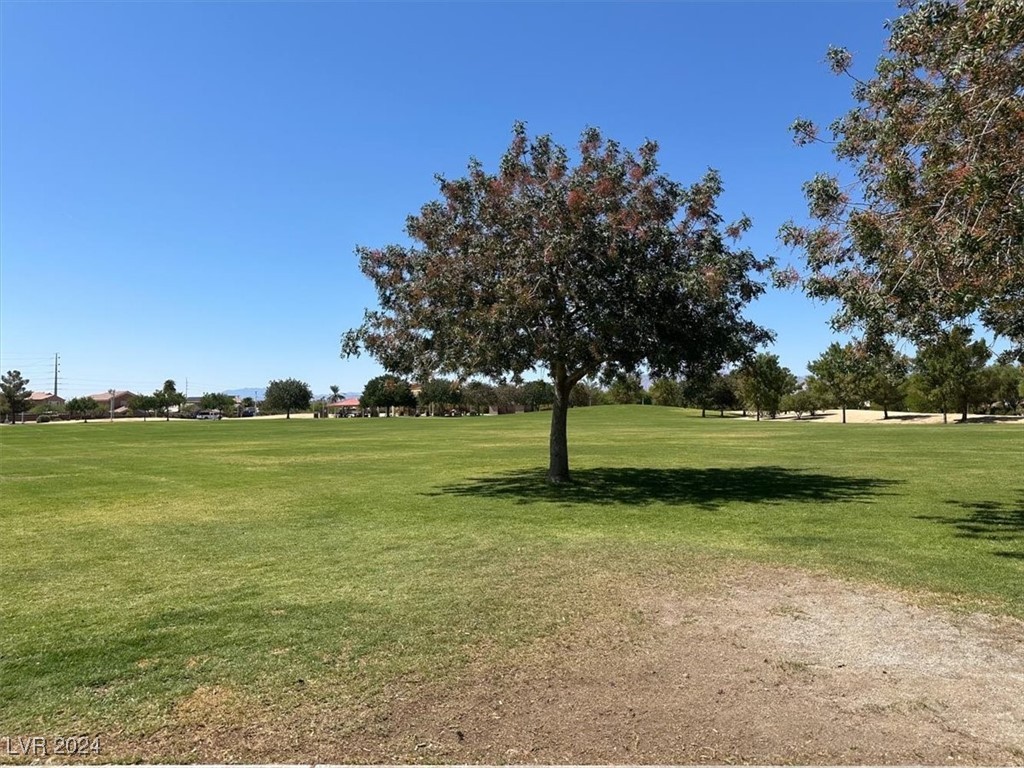 6616 Lavender Lilly Lane 3