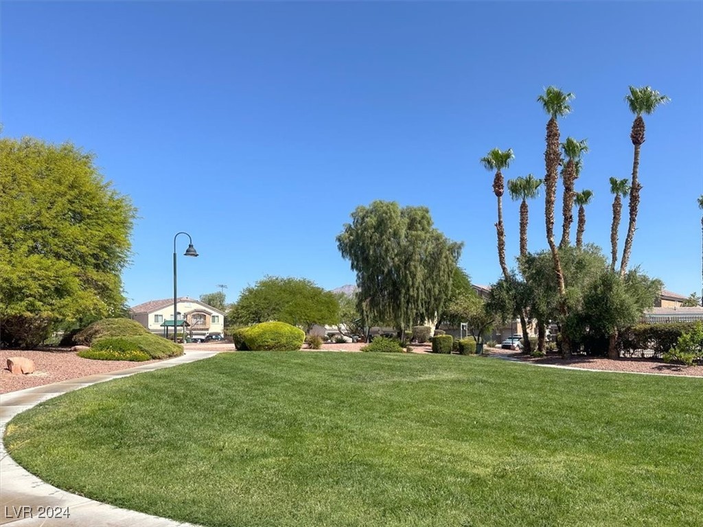 6616 Lavender Lilly Lane 3