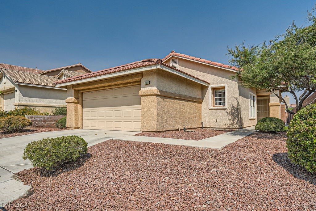 11120 Summer Squash Lane