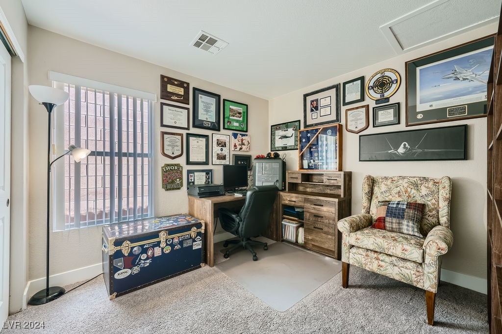 11120 Summer Squash Lane