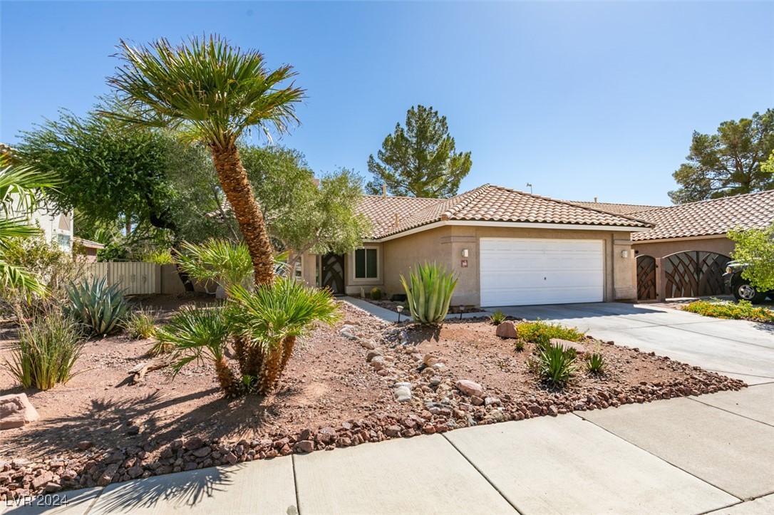 240 Honeywood Street
