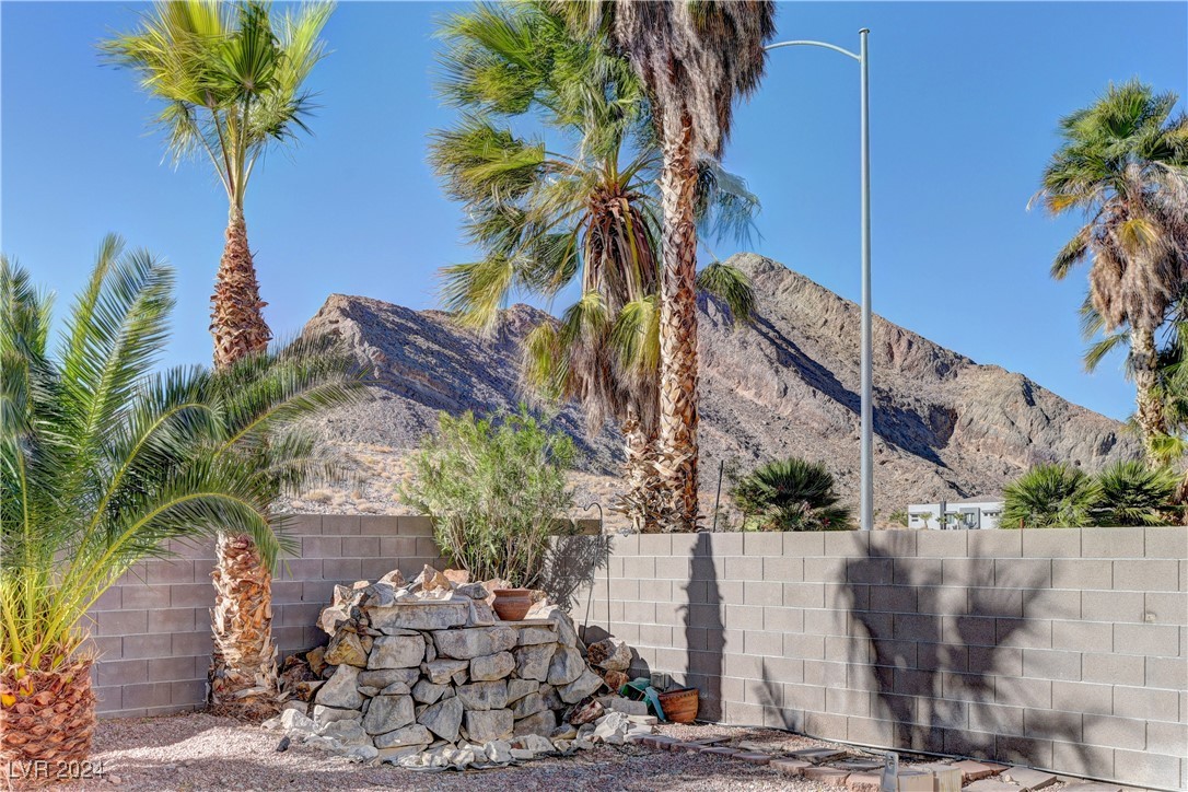 3917 Broad Meadow Court