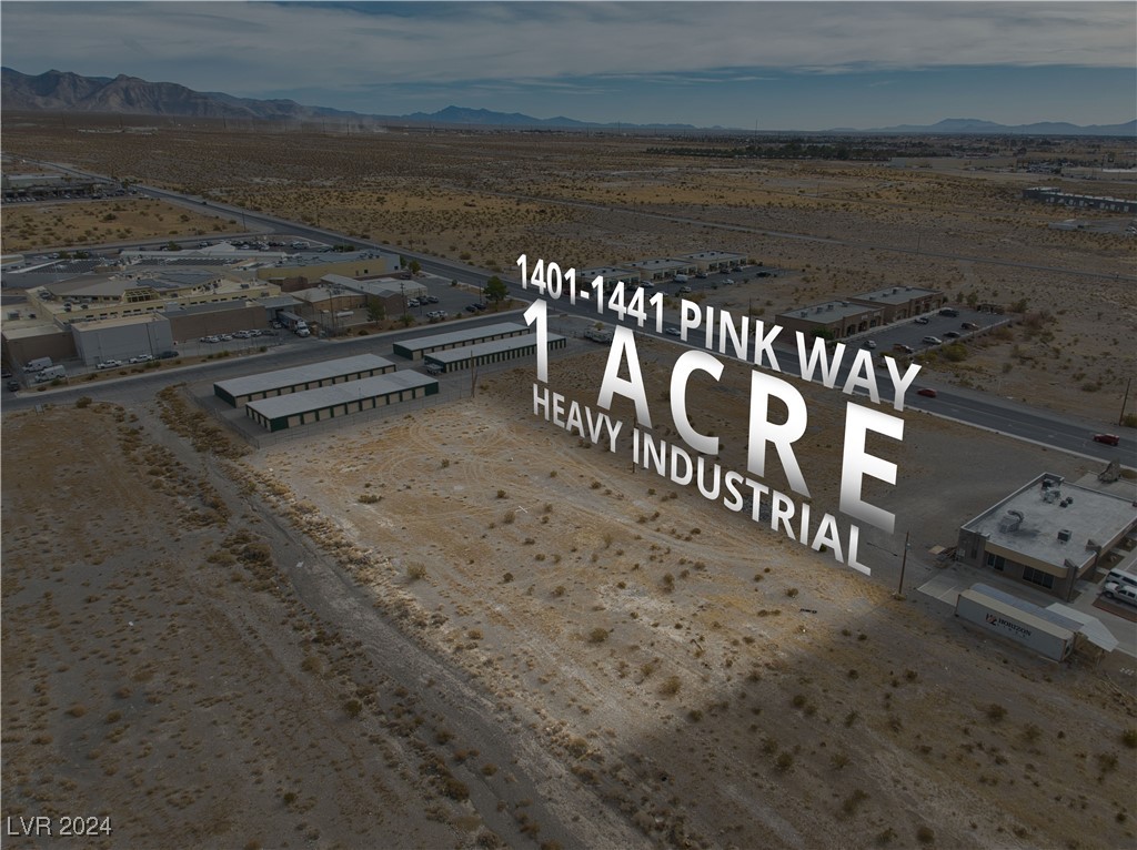 1401 East Pink Way 1