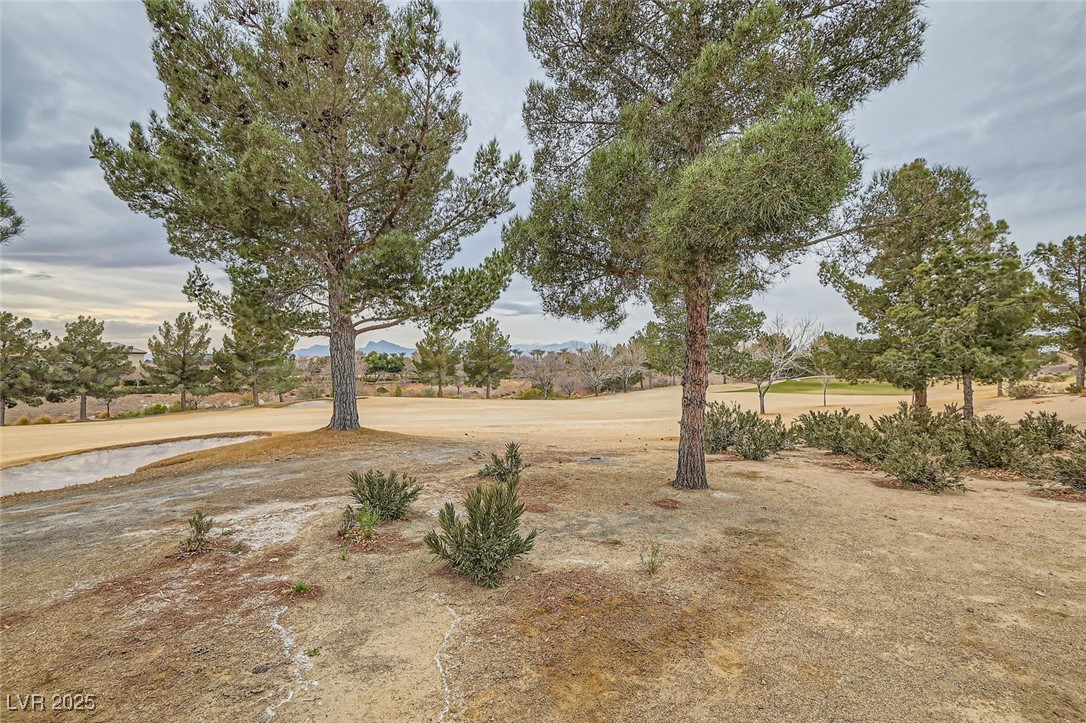 7517 Lintwhite Street