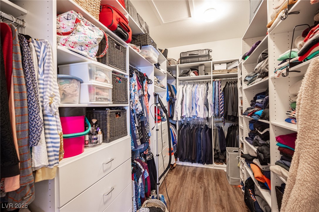 1901 Shady Elm Street