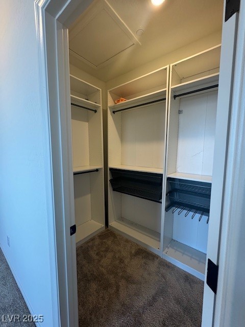 1586 Crowned Eagle Street