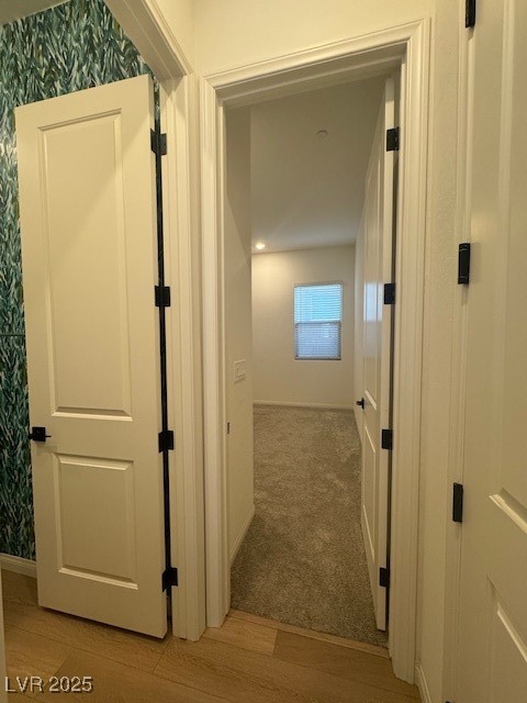 1586 Crowned Eagle Street