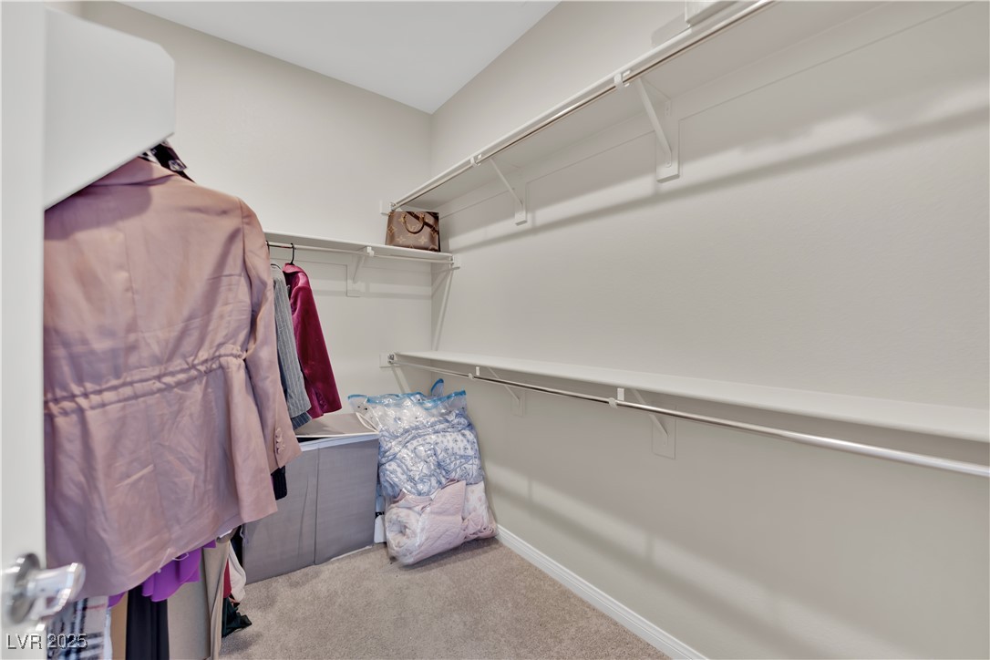 11563 Earth Stone Avenue