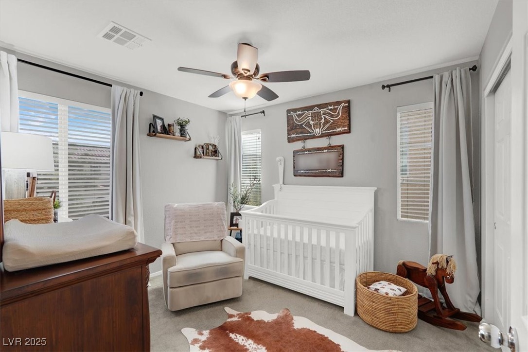 10608 Kennedy Peak Lane