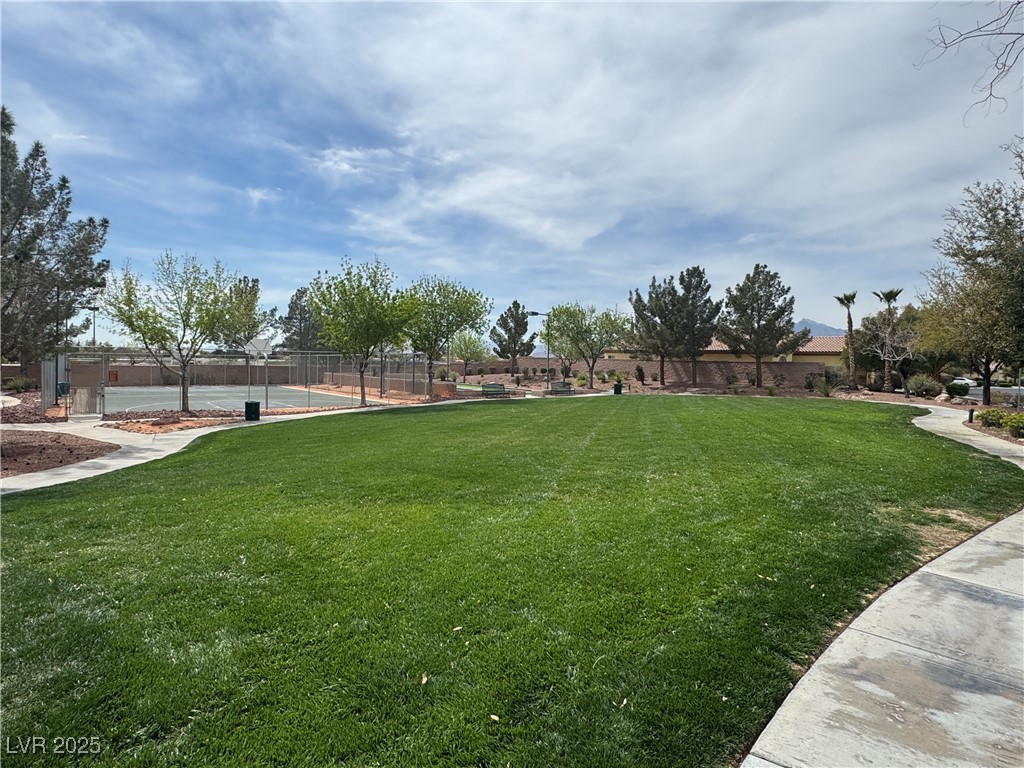 8221 CELINA HILLS ST.