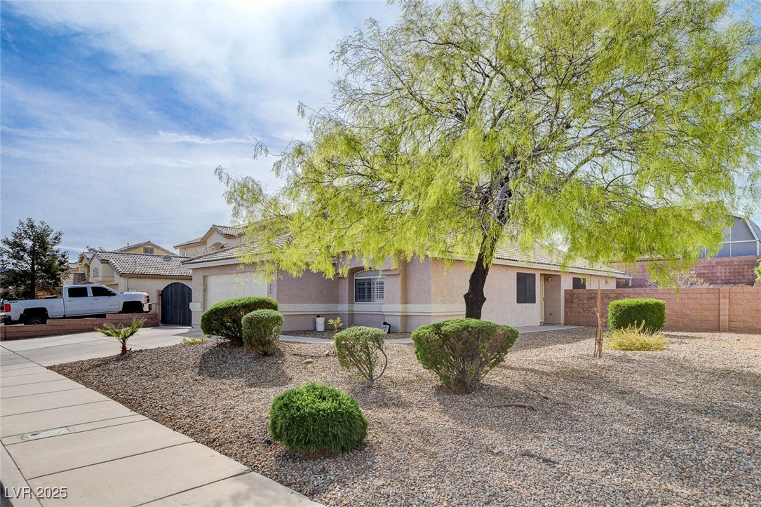 1069 Harpy Eagle Avenue