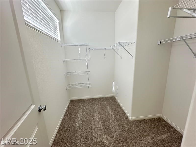 11697 STONE CURLEW Avenue