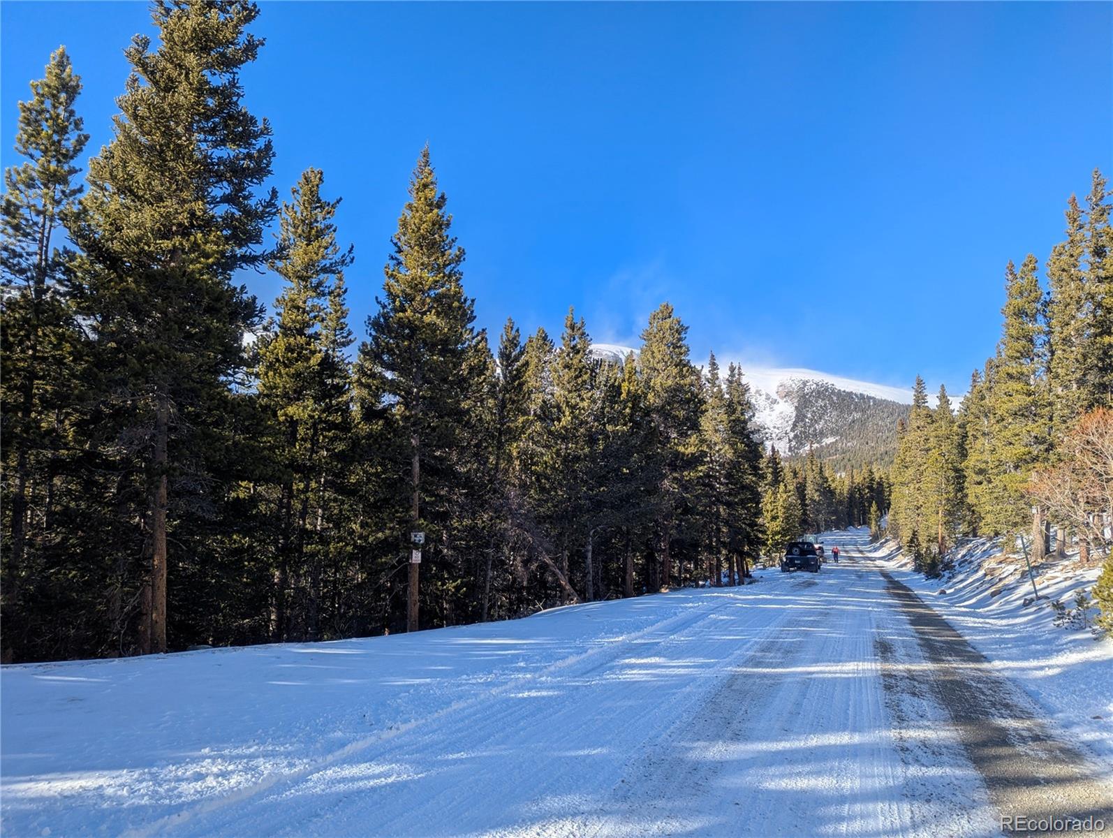 Crest Drive