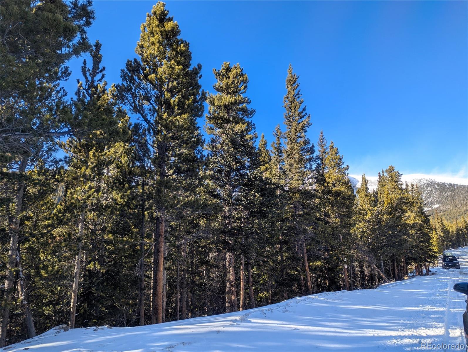 Crest Drive