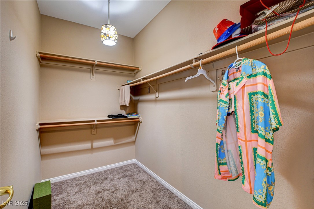 109 North Buteo Woods Lane