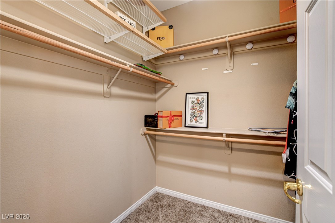 109 North Buteo Woods Lane