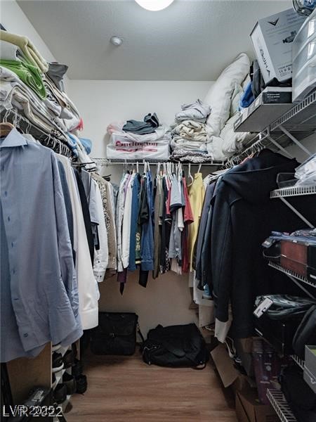 50 Aura De Blanco Street 13202