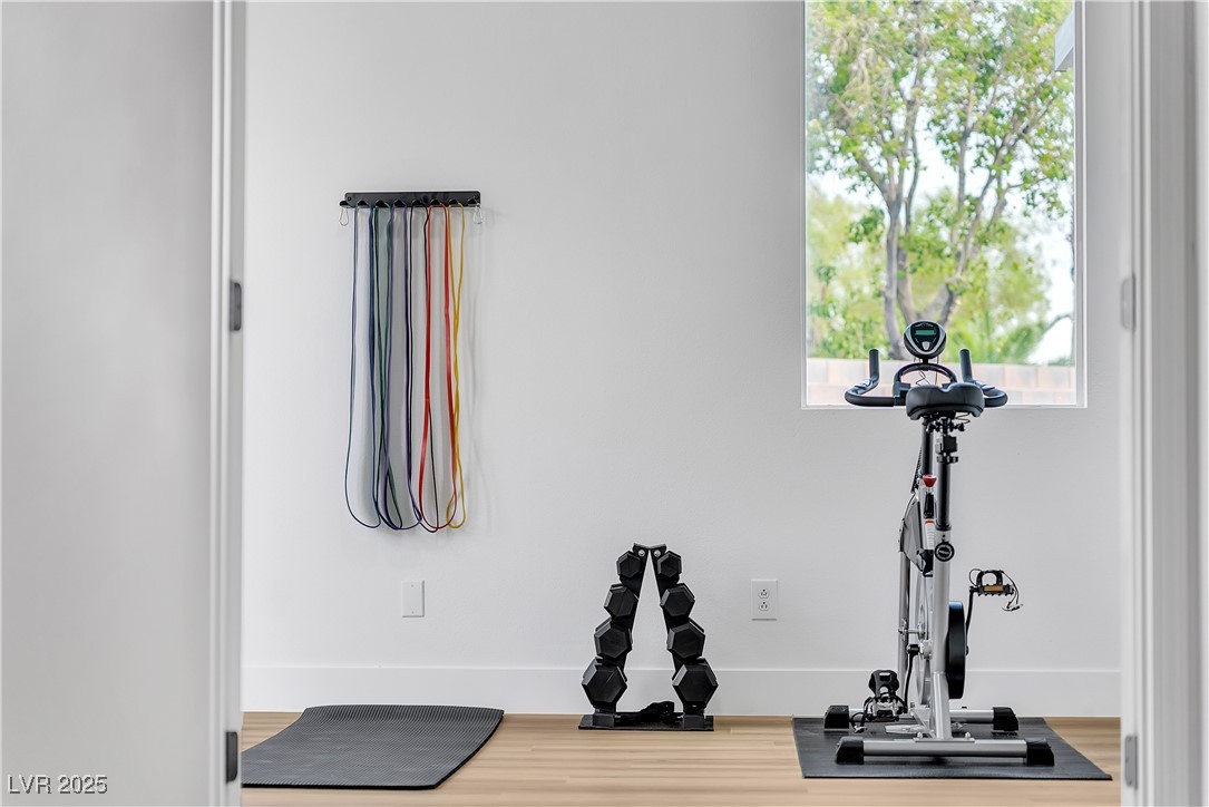 3281 Wisteria Tree Street