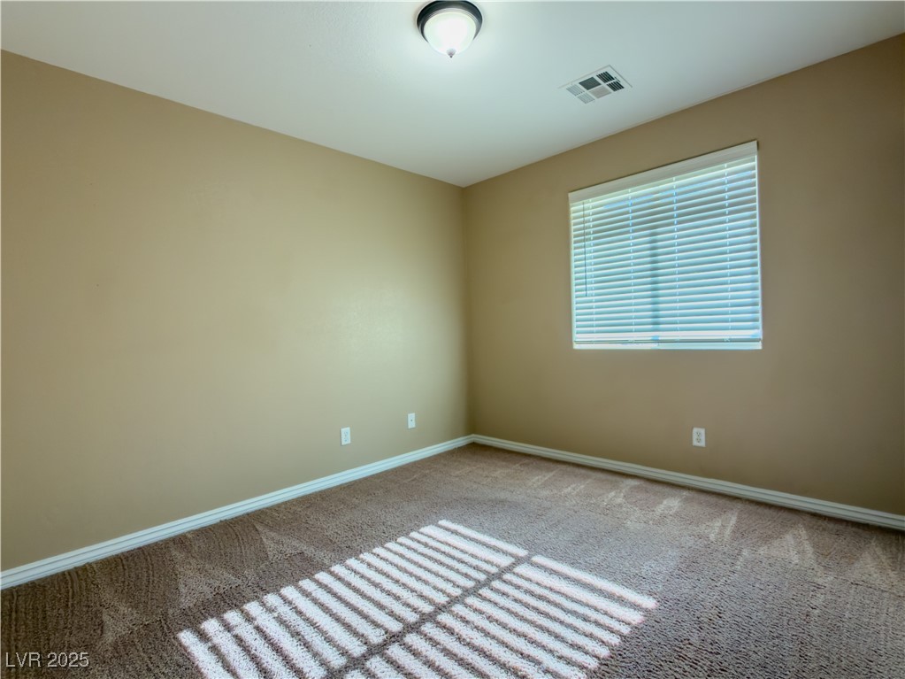 3384 Jasmine Vine Court