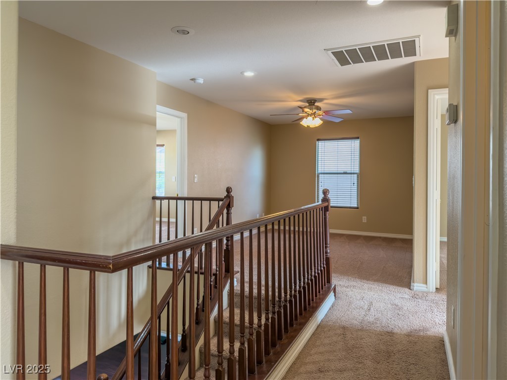 3384 Jasmine Vine Court