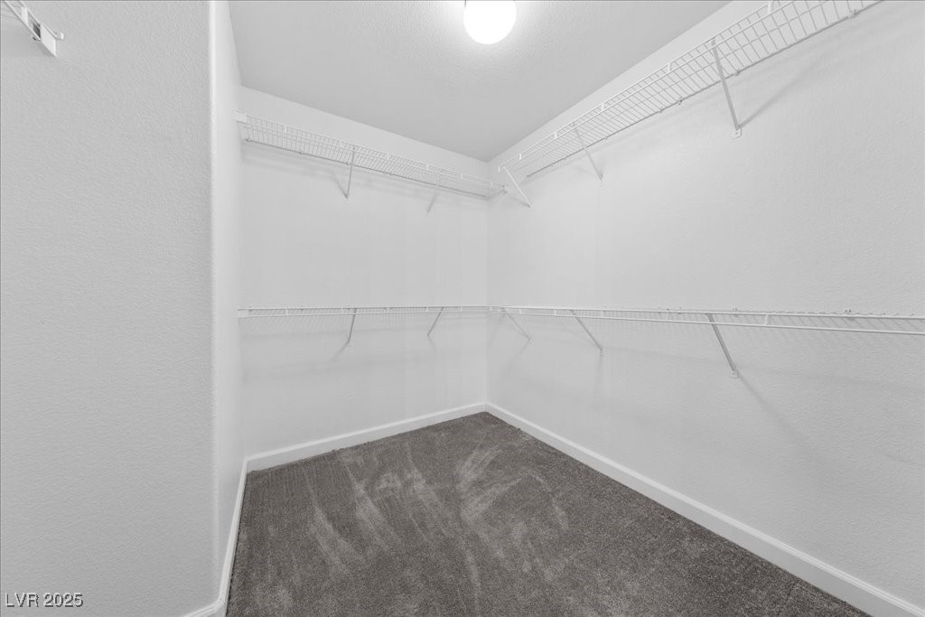 10151 Tumbling Tree Street