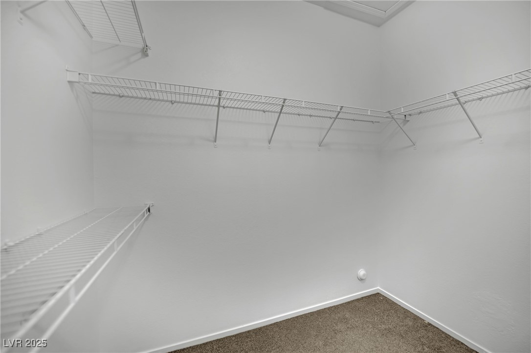 2625 Chin Cactus Court