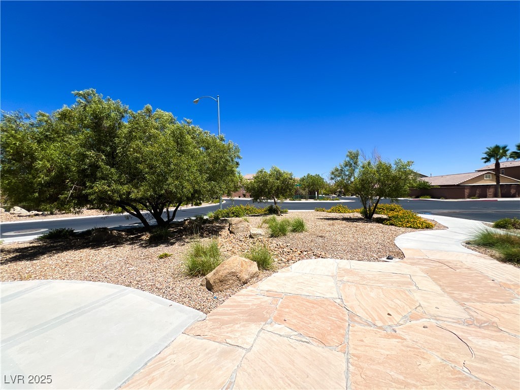 3462 Elegant Rose Street