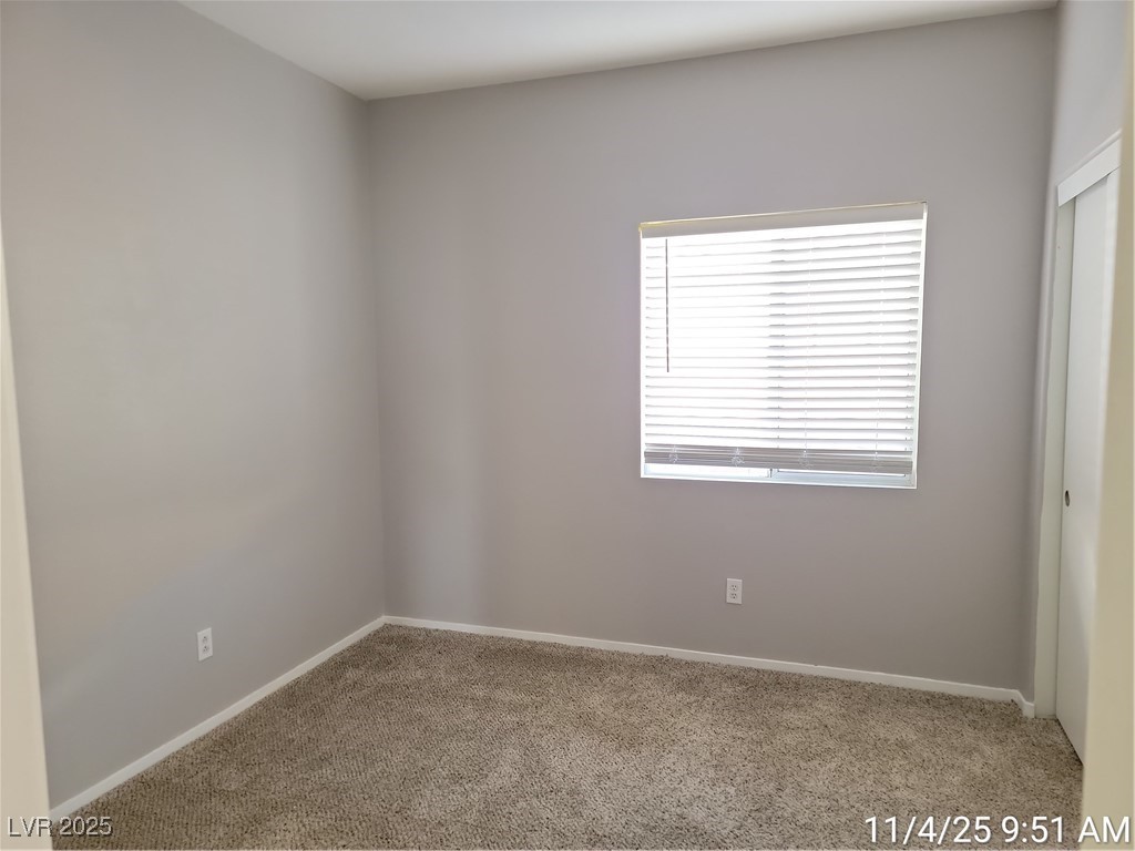 824 Painted Vista Avenue