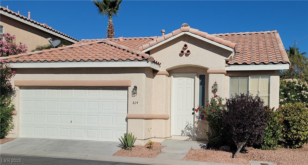 824 Painted Vista Avenue