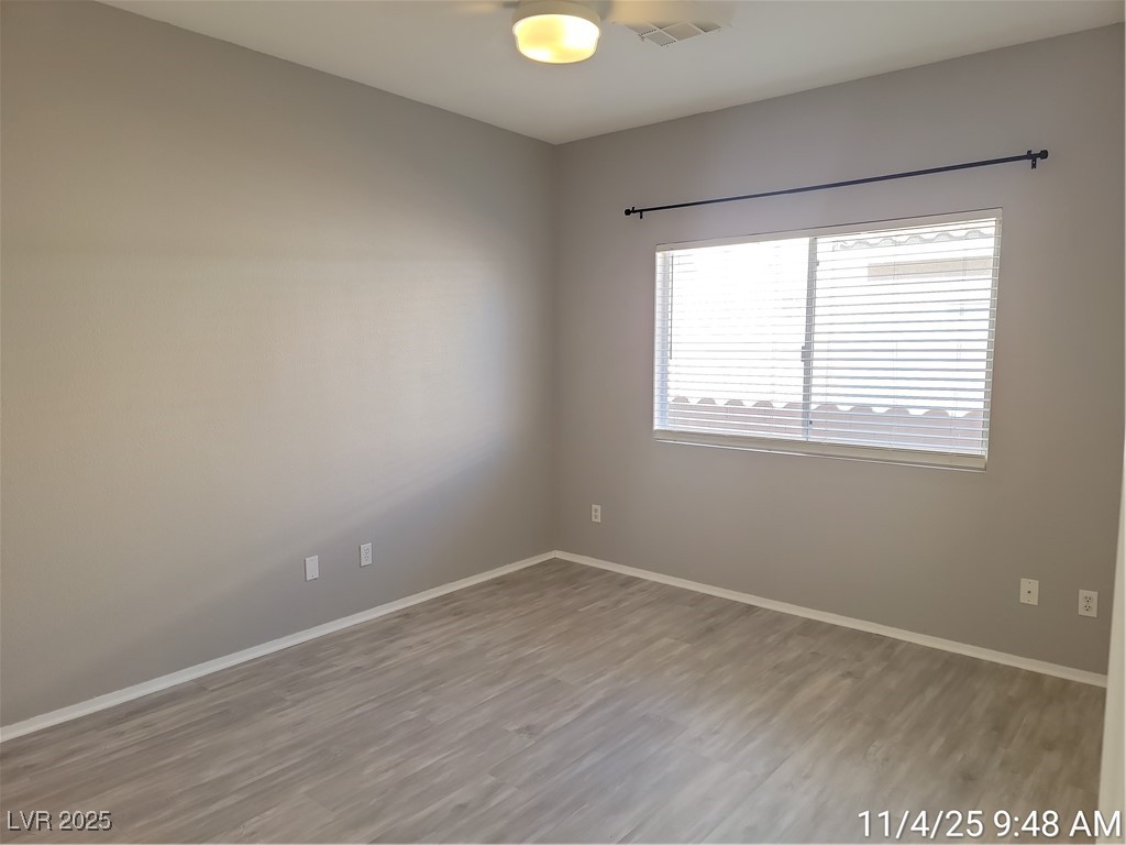 824 Painted Vista Avenue