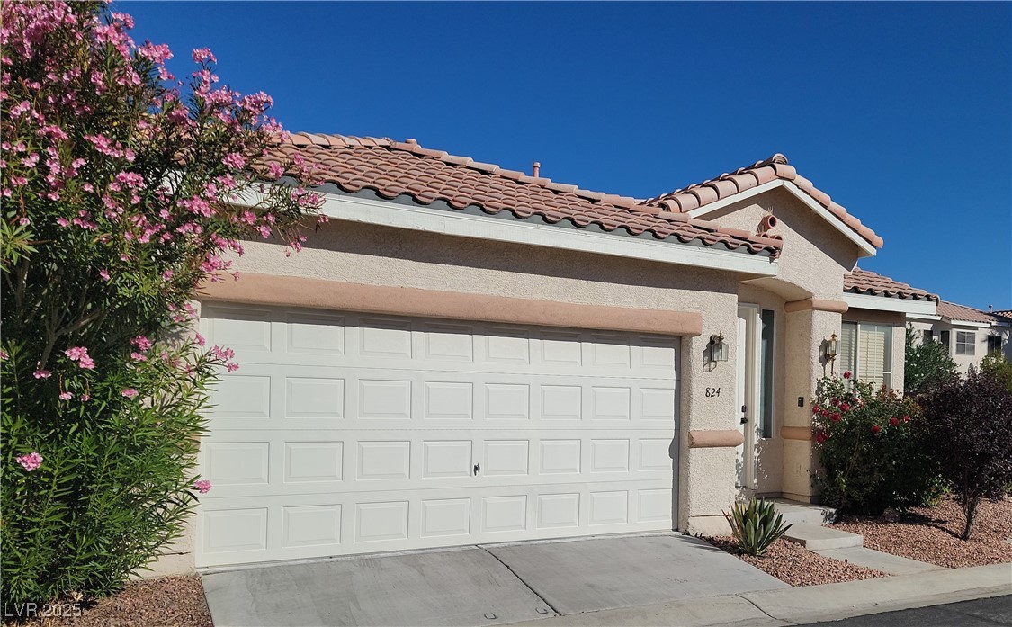 824 Painted Vista Avenue