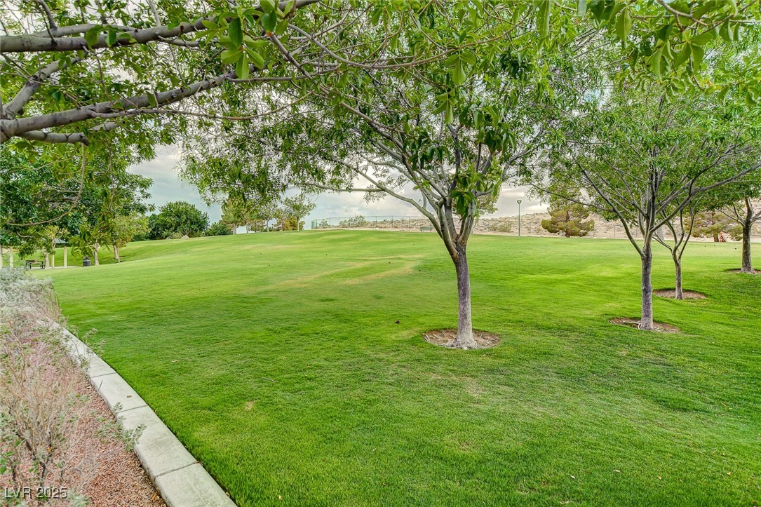 4489 Verdiccio Avenue