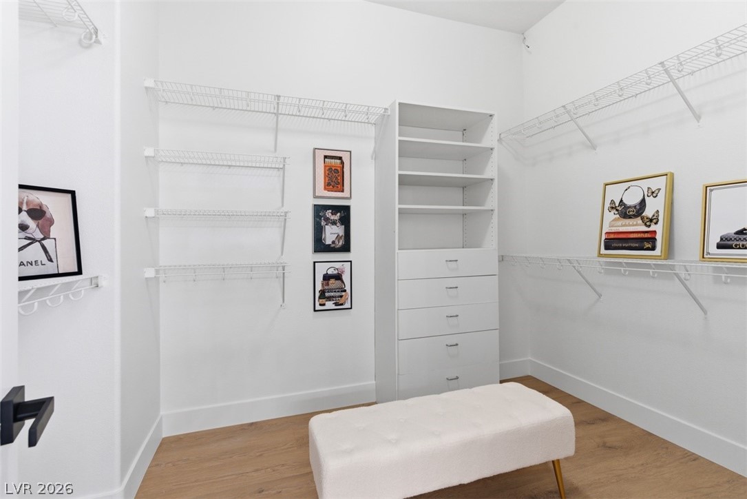 3005 Gnatcatcher Avenue