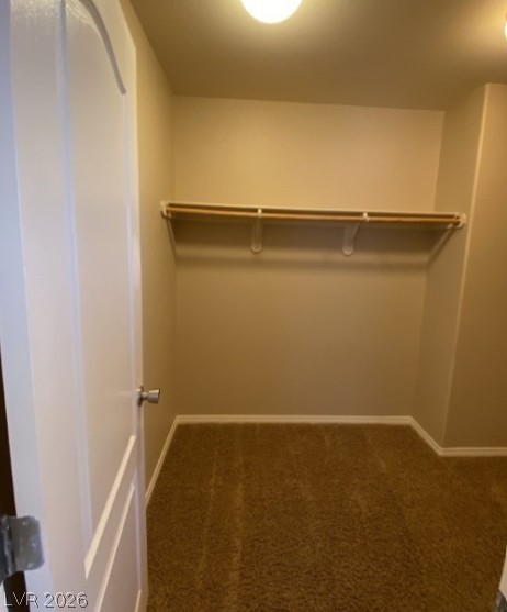 10622 Cactus Brush Court