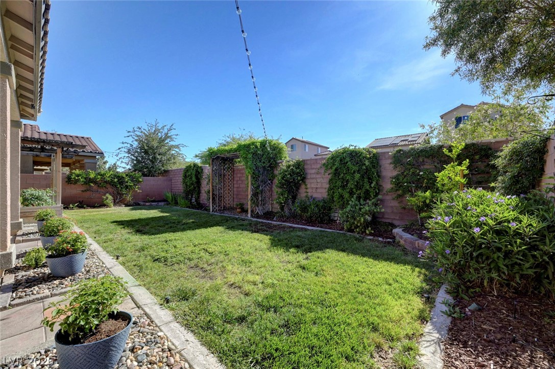 10771 Morning Frost Street