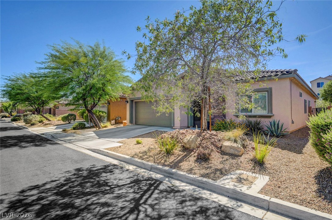 10771 Morning Frost Street