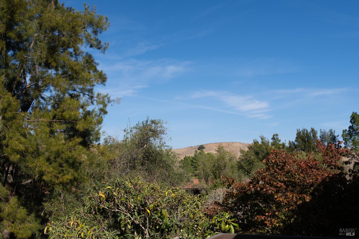 43 Forest Lane