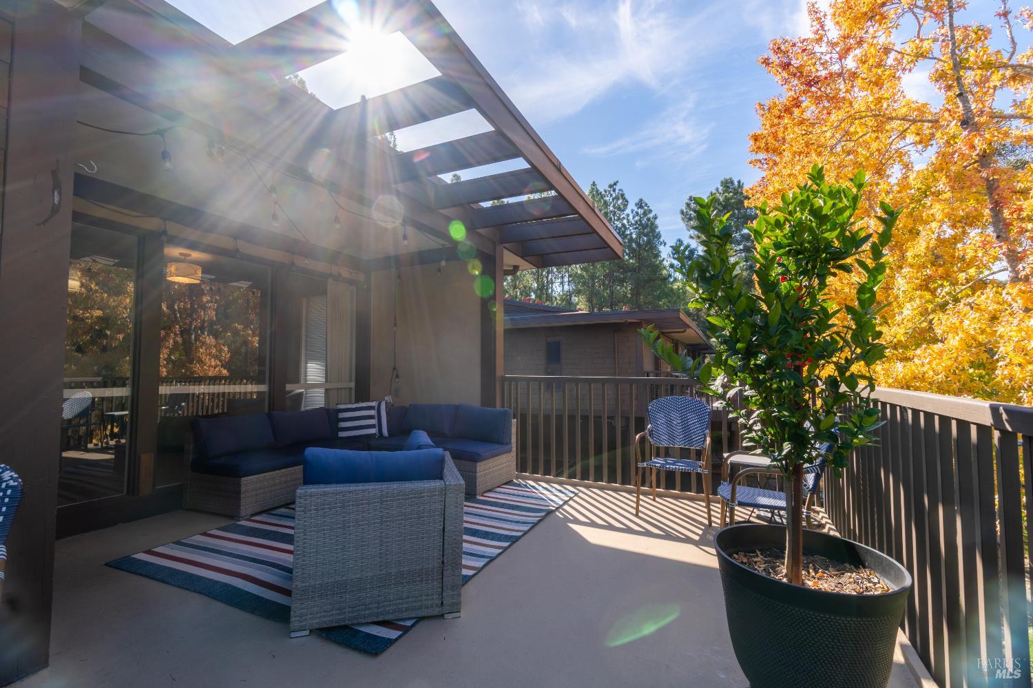 43 Forest Lane