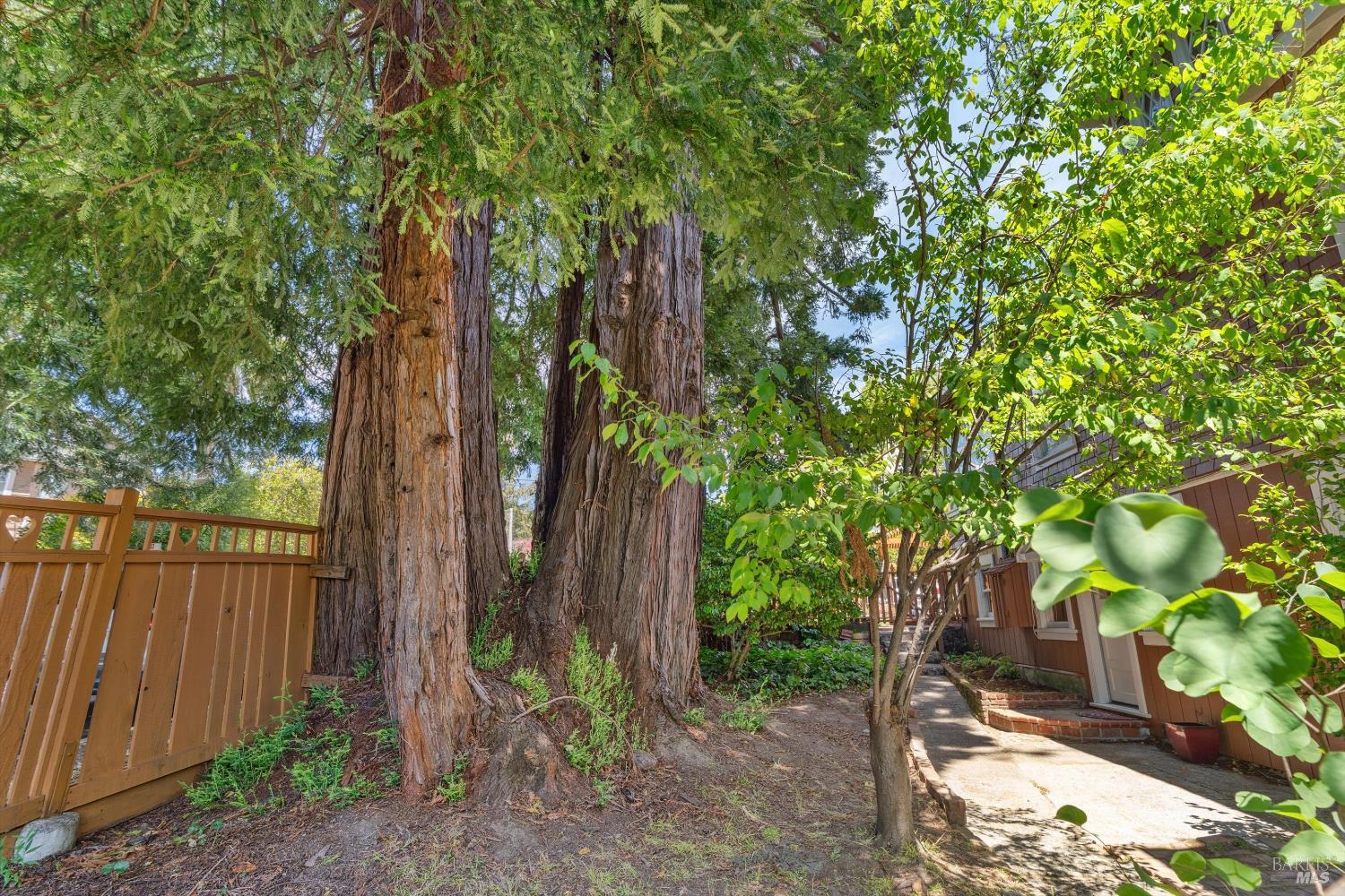 54 Mountain View Avenue