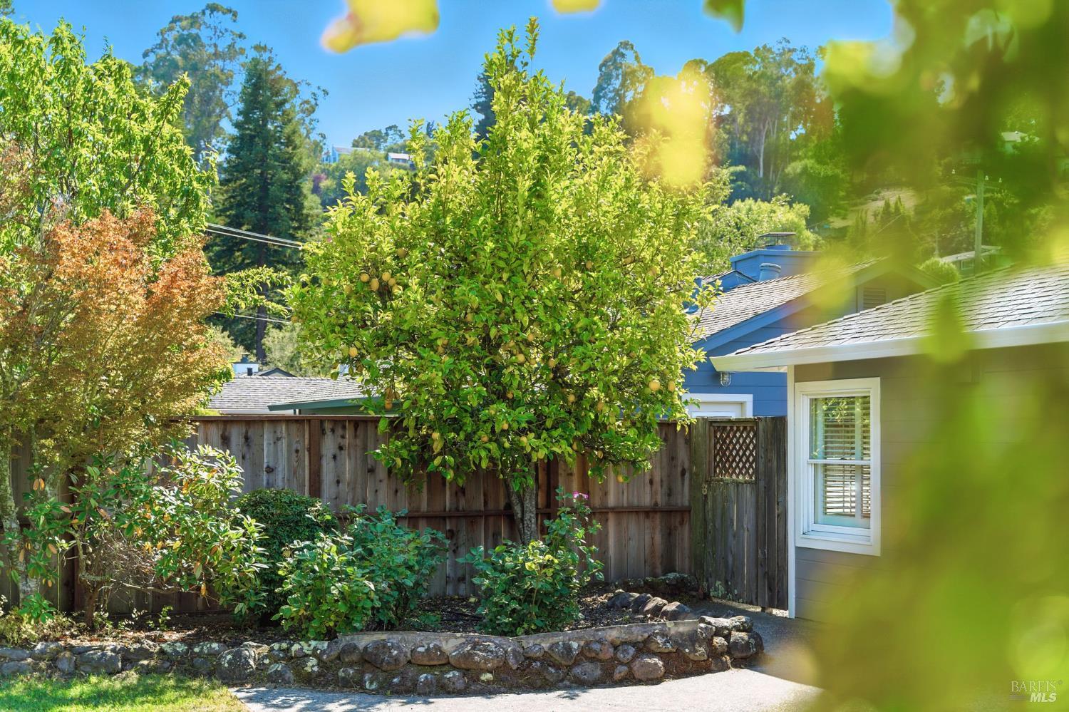 317 Ross Drive