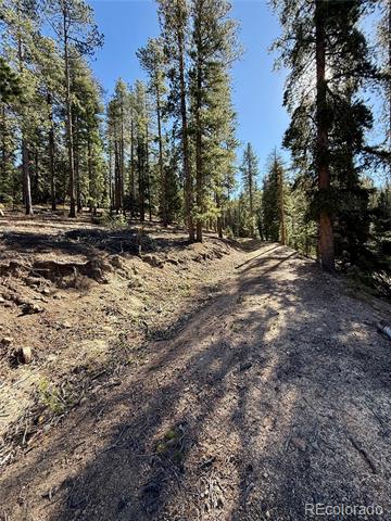 7624 Brook Forest Lane