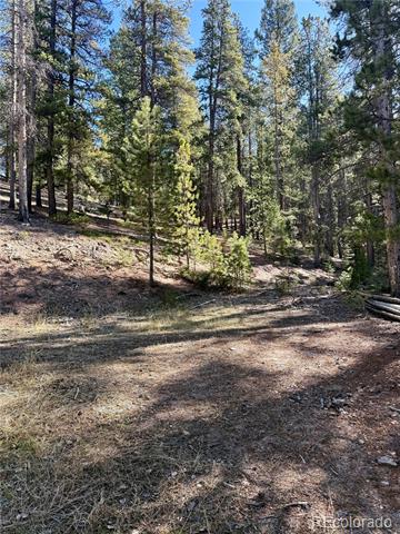 7624 Brook Forest Lane