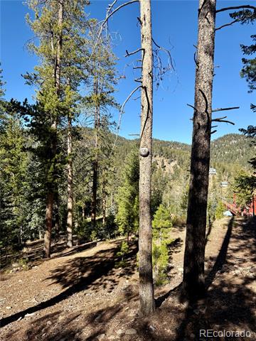 7624 Brook Forest Lane