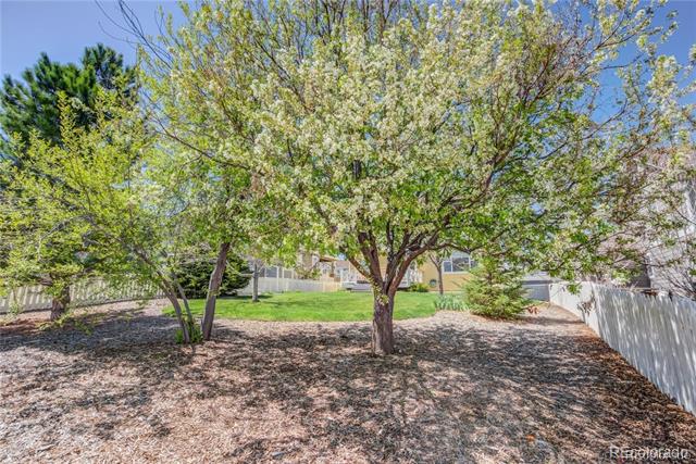 3802 Chaffee Court