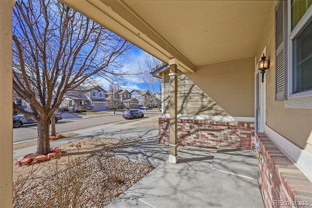 3152 Meadowbrook Place