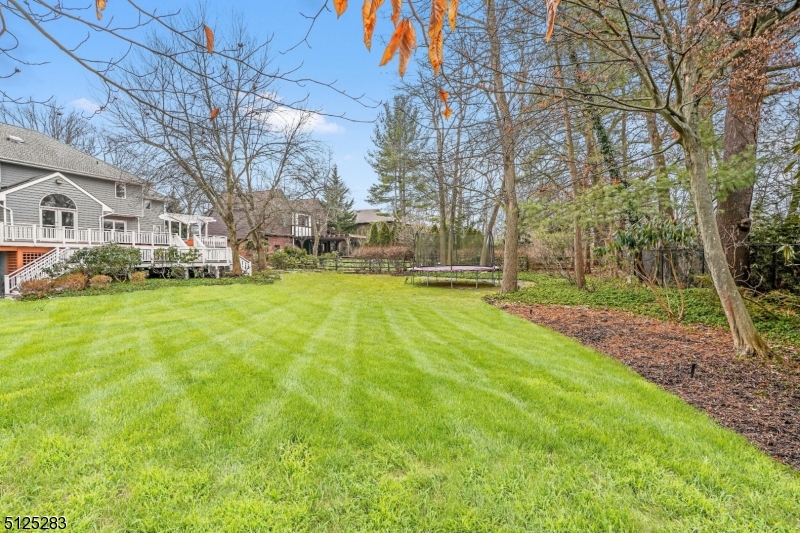 41 GREAT HILLS TERRACE