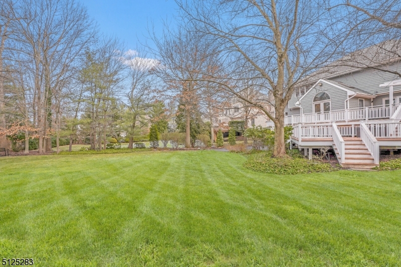 41 GREAT HILLS TERRACE